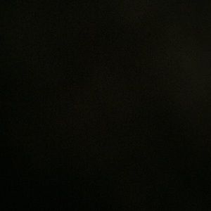 Meet your Posher, Lilly